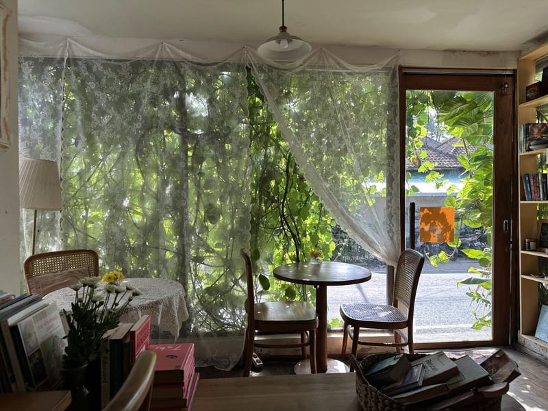The window seating with sheer curtains and plants outside at Decafo Cafe